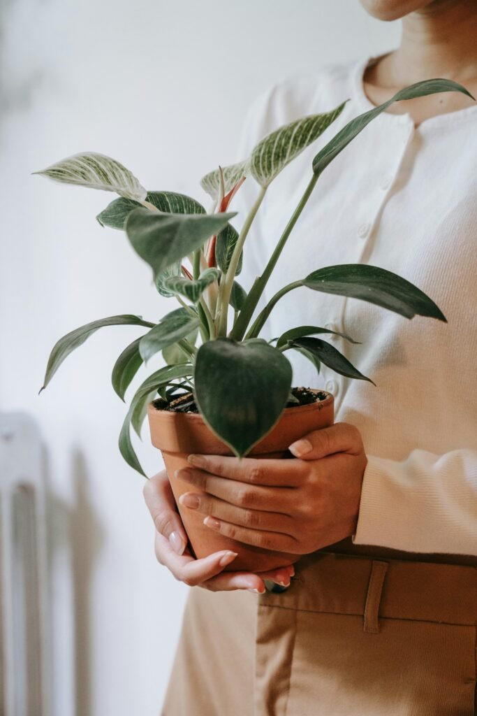A person gently holding a small potted green plant indoors, showcasing care and nature connection.