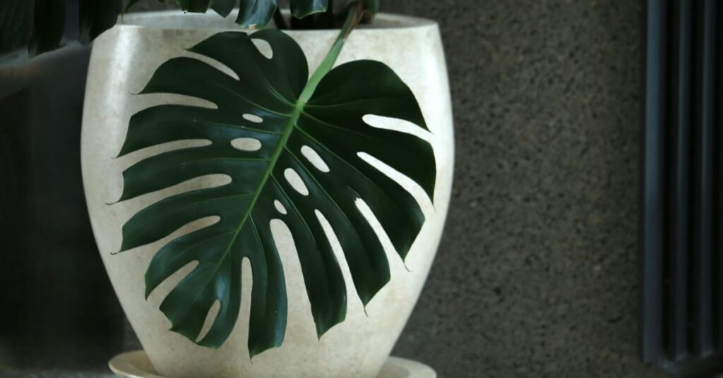 slow living home greenery decor plants (1)